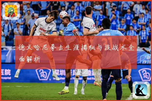 德文哈尼拳击生涯揭秘与技战术全面解析